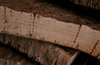 Seasoned cork bark ready for processing into corks